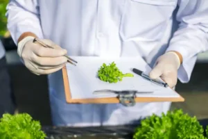 Kurumsal Yönetimde Helal Gıda Belgesi ve Standart Entegrasyonu